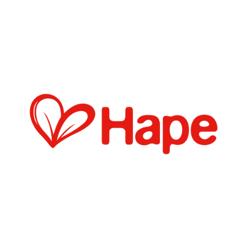 Hape Toys