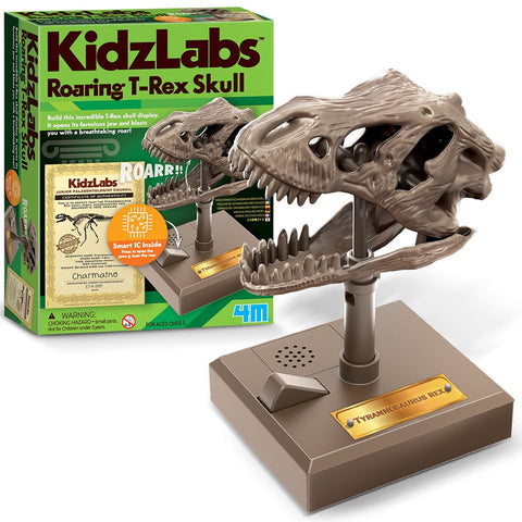 4M KidzLabs Dino Skull