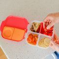 B.Box Mini Lunch Box - The Toybox NZ Ltd