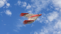 Cooee Sky Glider assembled and ready to launch