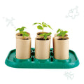 Six small plants are growing in individual cylindrical bamboo paper pots, all neatly placed in a green plastic tray. The background is white and adorned with simple line drawings of a dragonfly, butterfly, and ladybug. This eco-friendly setup, known as the *HAPE Gardeners Greenhouse* from HAPE, promotes sustainable gardening practices with its innovative design.