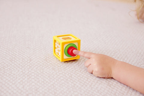 Hape Delightful Discovery Blocks animal and number designs