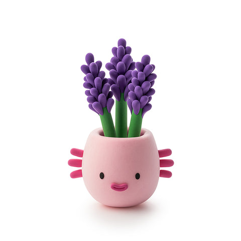 Hey Clay 15 pack - Plant Folks