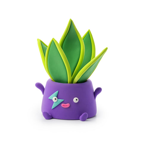Hey Clay 15 pack - Plant Folks