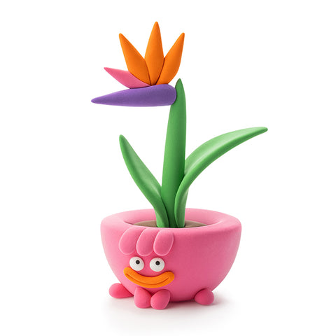 Hey Clay 15 pack - Plant Folks
