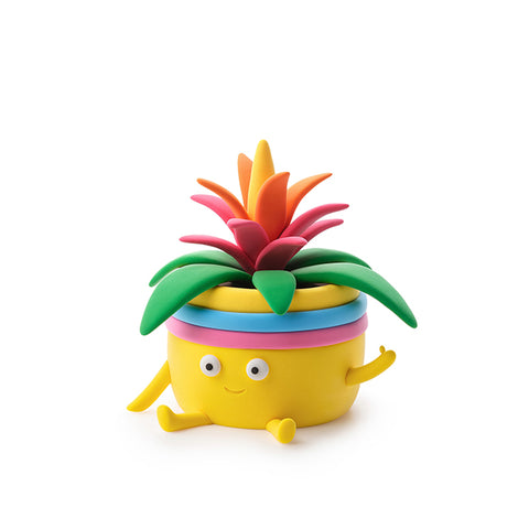 Hey Clay 15 pack - Plant Friends