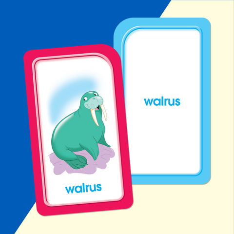 School Zone Picture Words Flash Cards - sample cards