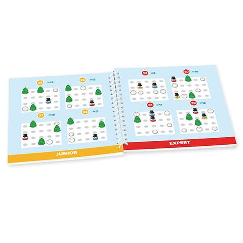 Smart Games Snow Problem