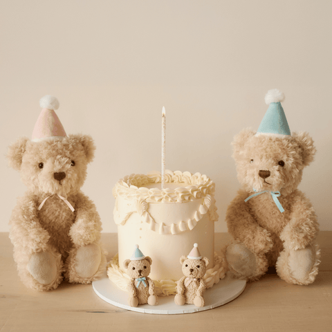 Snuggle Bunnies Birthday Arthur - Sky