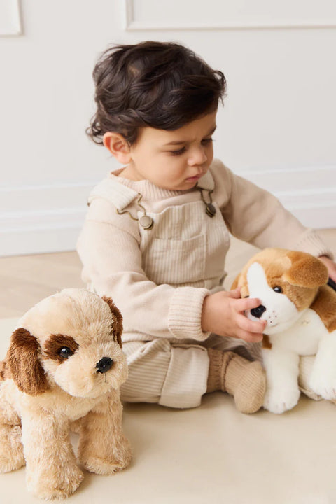 Snuggle Bunnies Brooklyn The Beagle