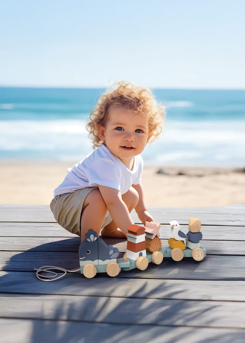 Speedy Monkey Ocean Stacking Train
