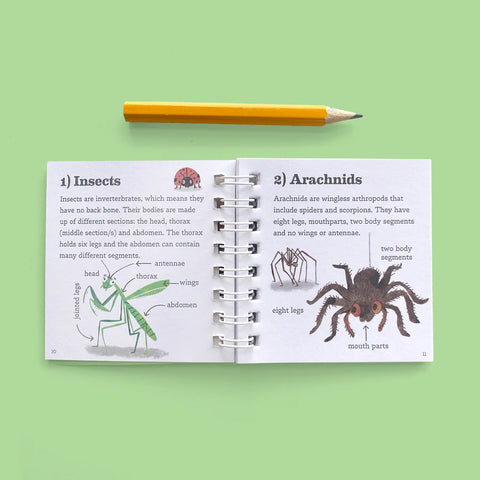 Tiger Tribe Bug Spotter Kit