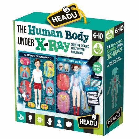 HeadU The Human Body under X-Ray - The Toybox NZ Ltd