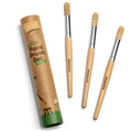 Image of the Honeysticks Jumbo Paint Brush Set - 3 pack, featuring three jumbo paint brushes with natural wood handles and silver ferrules, packed in a cardboard storage tube. Decorated with a bee and honeycomb design, this set from Honeysticks includes soft-bristled brushes that are non-toxic for safe artistic adventures.