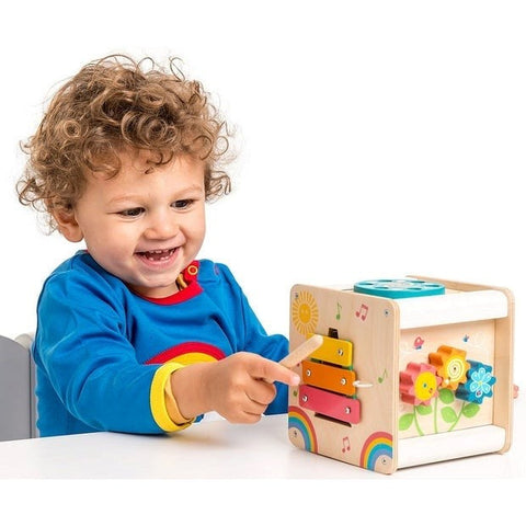 *Le Toy Van Petit Activity Cube